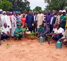 Tchad - Mandoul : Lancement de la Semaine Nationale de l'Arbre