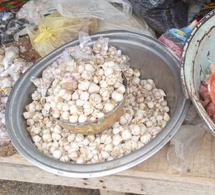 Tchad : hausse du prix de l’ail, entre rareté, spéculation et inquiétudes des consommateurs