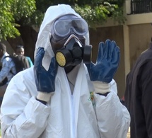 Paludisme au Tchad : la sensibilisation, une arme décisive pour sauver des vies
