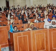 Tchad : Le Congrès adopte le rapport de révision technique de la Constitution