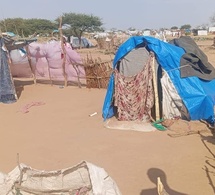 Tchad : L'Ambassadrice britannique en mission à Iriba, souligne l'urgence de l'aide aux réfugiés