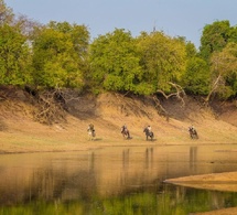 Tchad : conservation, les acquis de Zakouma menacés par l’improvisation