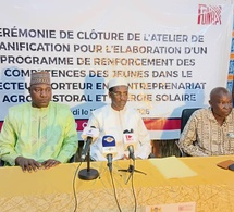 Tchad : le FONAP valide le ProFIEJ pour l’emploi et l’autonomisation des jeunes