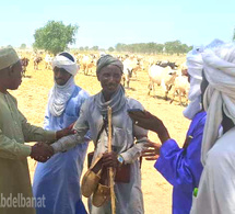 Tchad : le sous-préfet de Am-Habilé en mission sur les couloirs de transhumance pour prévenir les conflits