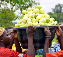 Tchad : des matériels techniques offerts à 50 femmes par la Cotontchad SN/ Olam Agri