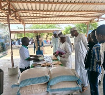 Tchad : La Fédération des producteurs de semences du Lac vulgarise ses succès à Bol