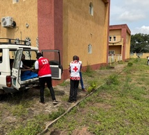 Tchad : Une opération de reboisement pour la résilience post-inondations (Logone Oriental)