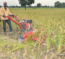 Burkina Faso – Campagne agropastorale 2025-2026 : Le Ministre d’État Ismaël SOMBIÉ assiste à la récolte mécanisée du riz à Karaba Burkina Faso – Campagne agropastorale 2025-2026 : Le Ministre d’État Ismaël SOMBIÉ assiste à la récolte mécanisée du riz à Karaba