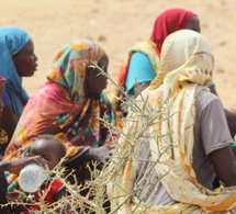 Tchad – Royaume-Uni : renforcement de la coopération face à la crise humanitaire soudanaise