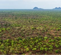 Tchad : 15 ans d’un partenariat exemplaire entre African Parks et l’État pour la conservation et le développement durable [VIDEO]
