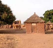 Tchad : dans le Lac Léré, un malade mental tue deux personnes chez un guérisseur traditionnel à Trené