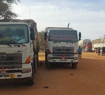 Adré : la détresse des déplacés s’aggrave face aux difficultés d’acheminement de l’aide humanitaire