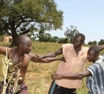 Tchad : L’État tchadien échoue à protéger les victimes des affrontements entre éleveurs et agriculteurs (Rapport Amnesty)