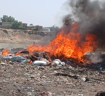 Tchad : La Police nationale incinère une importante quantité de produits prohibés