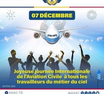 Journée Internationale de l’Aviation Civile : Hommage aux artisans du ciel
