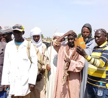 Tchad : Lancement d'une campagne de sensibilisation à la vaccination animale à Béré dans la Tandjilé