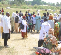 Tchad : Le Mandoul sensibilisé à la vaccination obligatoire du bétail