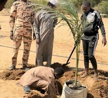 Tchad – Environnement : Lancement de l’opération « Un ménage, un arbre » à Djara (Kanem-Est)