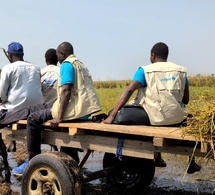 L'engagement sans faille de l'UNICEF Tchad sur le terrain
