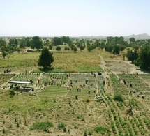 Tchad : Bilan positif pour le projet de résilience soutenu par la Corée