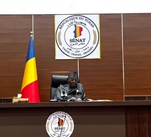 Sénat : Adoption historique du cadre de l'organisation administrative du Tchad
