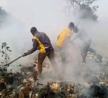 Tchad : un incendie ravage plusieurs tonnes de coton à Laounangra, dans le anton de Gagal