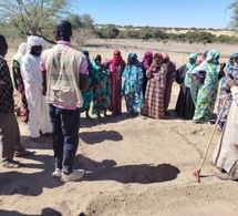 Tchad : le P2RS 2 et l’Antenne ANADER du Kanem forment les producteurs du Kanem-Sud