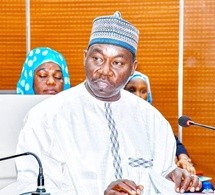 Tchad : Le Sénat adopte à une large majorité la loi d’Amnistie en faveur de Mahamat Zene Bada