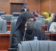 Énergie au Tchad : les sénateurs interpellent le gouvernement sur les coupures d’électricité