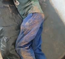 Tchad : Goz-Beïda, le quartier Khadra frappé par une attaque massive d’abeilles