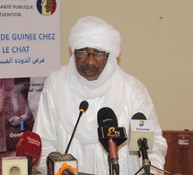 Santé : Le Tchad aux portes de l'éradication historique du Ver de Guinée