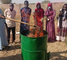 Tchad : formation en entrepreneuriat vert à Mongo, 100 bénéficiaires pour valoriser les déchets organiques