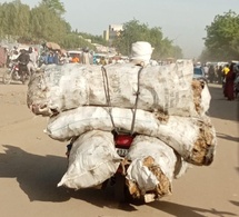 Tchad : transport, le poisson fumé exposé à la poussière et aux mouches