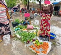 Tchad : comment moderniser les marchés locaux et booster l’économie ?