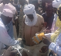 Tchad : lancement de la campagne de vaccination du bétail contre la PPCB et la PPR à Mongo