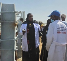 Santé Animale : Le Ouaddaï en offensive contre la PPR et la PPCB