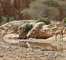 Tchad : FICSA 6, immersion exceptionnelle au cœur du massif de l’Ennedi