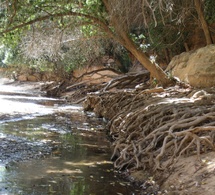 Tchad : un touriste toujours porté disparu après une excursion