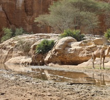 ​Tchad : le corps du touriste français Paul Ferreri retrouvé près du campement de Bachikele