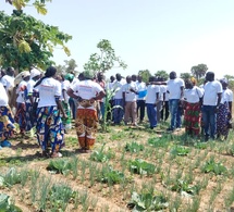 Tchad : les agripreneurs en visite d’échange à Kélo pour renforcer leurs compétences