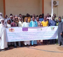 Tchad : les agents de l'élevage du Moyen Chari en formation pour mieux protéger le cheptel