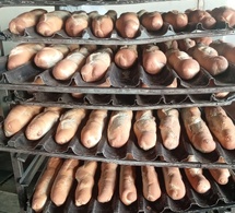 N’Djamena : 538 340 pains par jour, la dépendance silencieuse aux farines importées