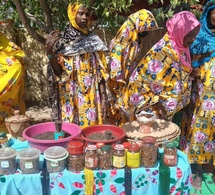 Tchad : Au Hadjer Lamis, une semaine d’activités dédiée aux femmes s’achève avec la SENAFET 2026