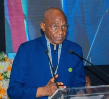 Attaque de drones à Tiné : La Médiature de la République du Tchad condamne et appelle à la vigilance