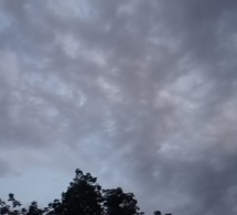 Tchad : au Guéra, la première pluie de l'année annonce le retour des activités agricoles