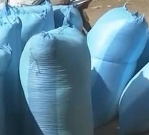 Tchad : le piège de la surproduction au pays du bérébéré