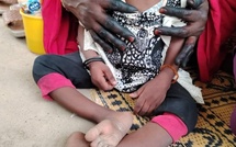 La lutte contre la polio, une priorité vitale pour le Bassin du Lac-Tchad et le Tchad