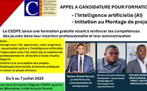 Tchad : Le CEDPE organise une formation sur l'intelligence Artificielle (5-7 juillet 2025)