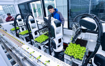 China's smart farms bring innovation to life