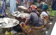 Tchad : Comment nourrir une population de 21 millions d'habitants ?